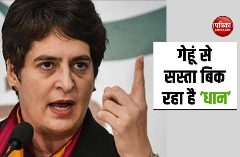 Priyanka Gandhi धान की खरीद न होने से यूपी के किसान परेशान, Priyanka Gandhi ने योगी सरकार को दी इस बात की चेतावनी