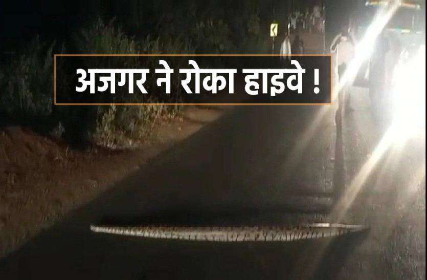 azgar.jpg विशालकाय अजगर ने रोक दिया स्टेट हाइवे, देखें वीडियो