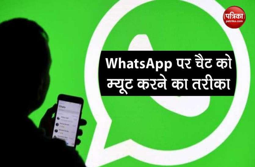 WhatsApp feature WhatsApp पर किसी की चैट को म्यूट करना चाहते है तो फॉलो करें ये स्टेप्स