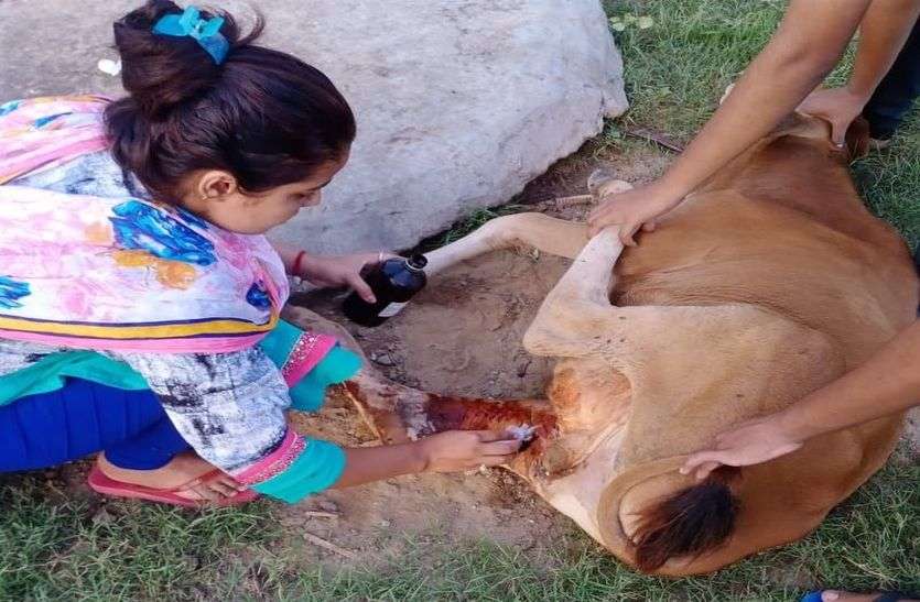 यह है जानवरों की दोस्त दीदी, नाम है प्रिया महरिया यह है जानवरों की दोस्त दीदी, नाम है प्रिया महरिया