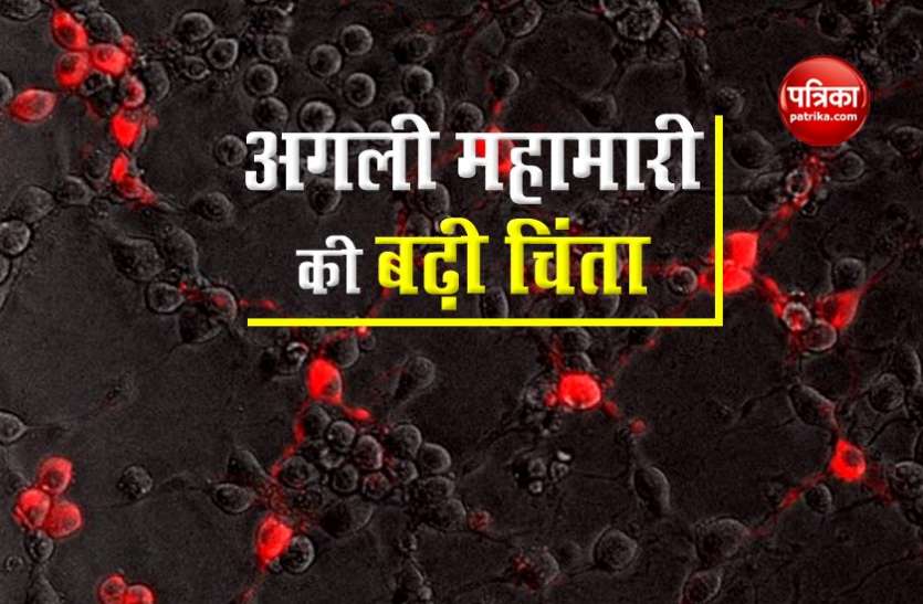 Are you ready for next pandemic, most of Indians thinks farm animals it's reason क्या अगली महामारी के लिए तैयार हैं आप? Farm Animals से सुपरबग आने को रेडी!