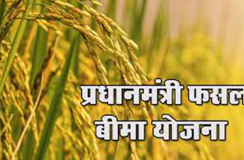जिले के 44 हल्कों के 11280 कृषकों को फसल बीमा राशि भुगतान की कार्रवाई शुरू जिले के 44 हल्कों के 11280 कृषकों को फसल बीमा राशि भुगतान की कार्रवाई शुरू