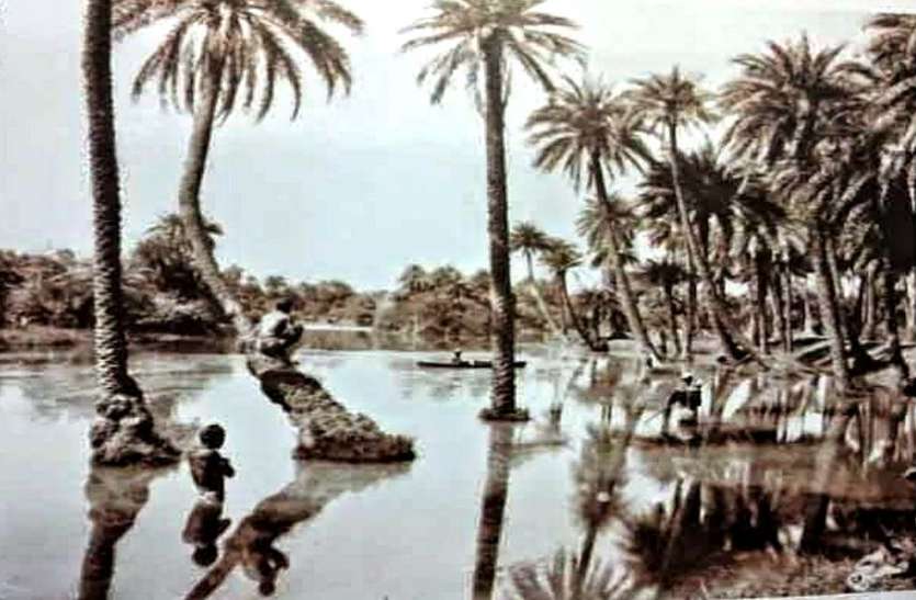अंग्रेजों की छावनी के आसपास थे 9 लाख पेड़, इसलिए नाम पड़ा नौलखा अंग्रेजों की छावनी के आसपास थे 9 लाख पेड़, इसलिए नाम पड़ा नौलखा
