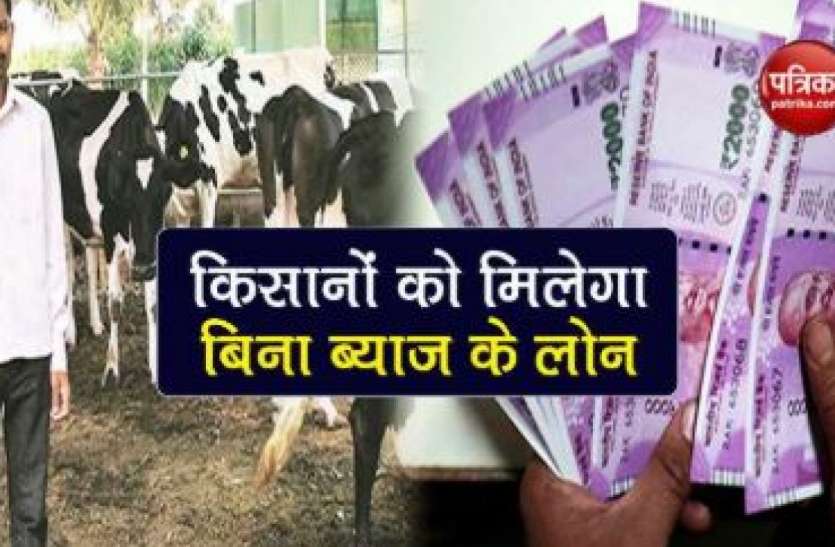 pashu1.jpg Pashu kisan credit card: पशुपालकों को बिना गारंटी मिलेगा 1.60 लाख तक लोन, 4 लाख लोगों ने किया आवेदन