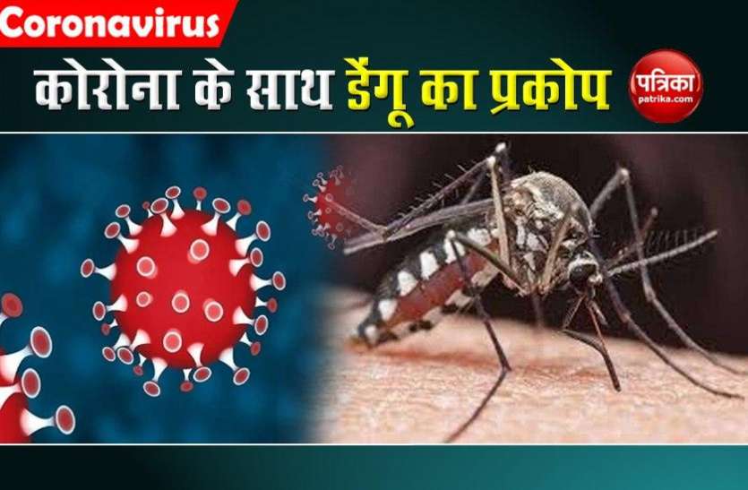 dengue attack in india कोरोना के साथ डेंगू ने दी दस्तक, लक्षण एक समान, जानें डेंगू के लक्षण और बचने के उपाय