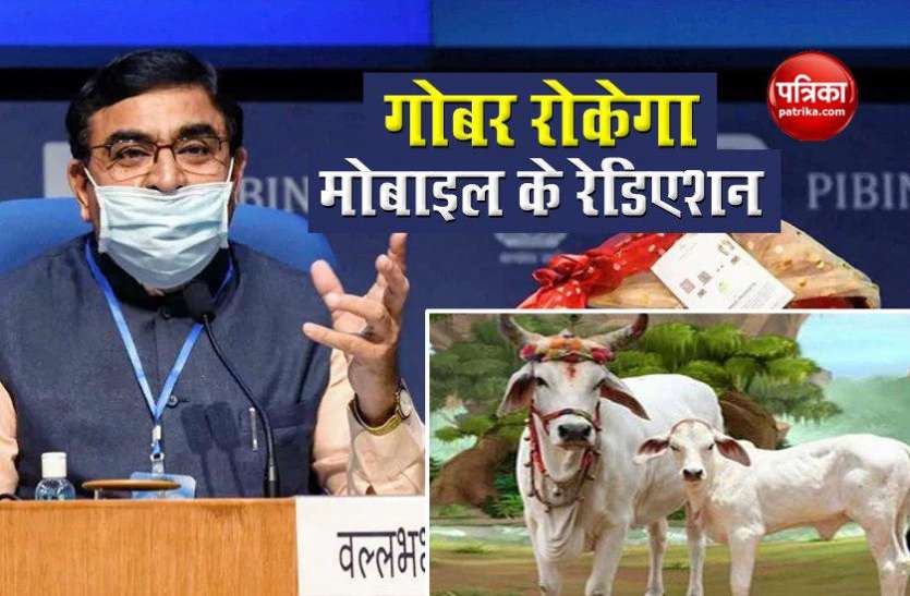 radiation from mobiles गाय के गोबर से बनाई अनोखी चिप, मोबाईल के रेडिएशन को करेगी कम