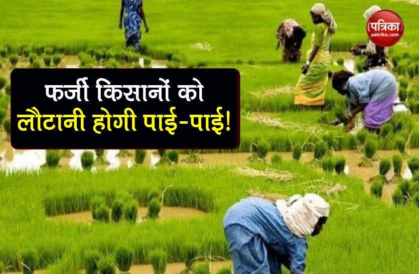101 arrests made so far in PM Kisan scheme scam: CB-CID तमिलनाडु: पीएम किसान योजना घोटाले में 105 करोड़ की वसूली हुई, 100 अधिकारी बर्खास्त