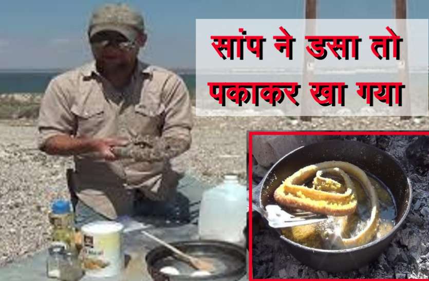 Pan Frying Rattlesnake इस शख्स ने सांप से लिया बदला! काटने पर पहुंच गया था आईसीयू, फिर पकड़ा और फिर पकाकर खा गया