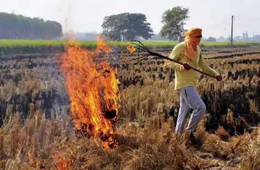 azamgarh craim धान की पराली जलाने पर आजमगढ़ में किसान के खिलाफ दर्ज हुआ मुकदमा