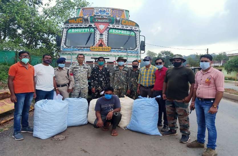 कवर्धा : ट्रक में छुपाकर 214 किलो गांजा तस्करी करते हरियाणा का ड्राइवर गिरफ्तार, अंतरराज्यीय नेटवर्क से जुड़े तार कवर्धा : ट्रक में छुपाकर 214 किलो गांजा तस्करी करते हरियाणा का ड्राइवर गिरफ्तार, अंतरराज्यीय नेटवर्क से जुड़े तार