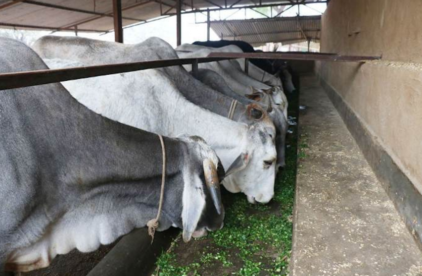 scheme.png Govt Scheme: इस योजना से शुरू करें खुद का बिजनेस, 10 लाख रूपए तक के लोन पर नहीं लगेगा ब्याज