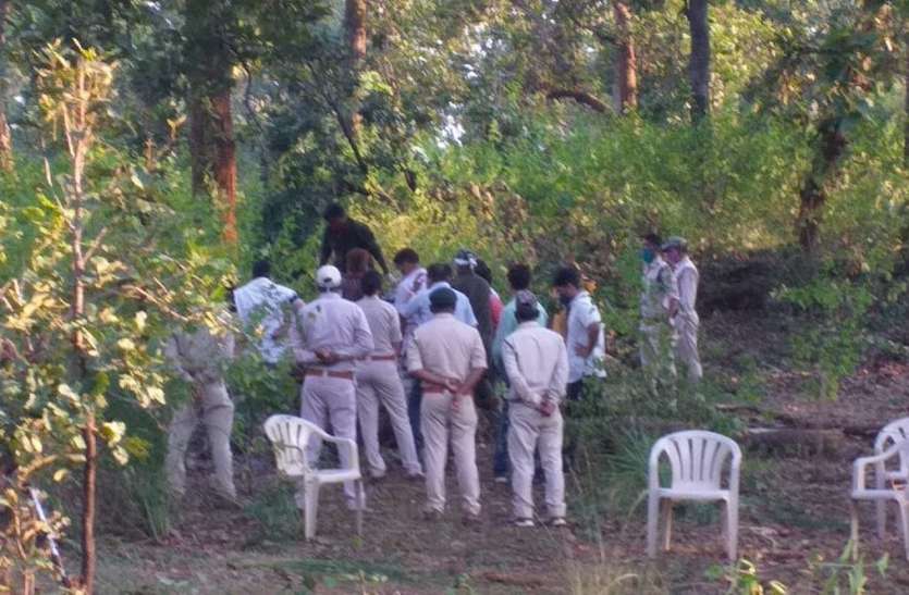 The tigress was surrounded by tourists on seeing Solo, the tigress was famous in the tourists बाघिन सोलो को देखते ही घेर लेते थे पर्यटक, सैलानियों में चर्चित थी बाघिन