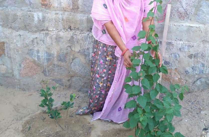 बच्चों के बिन सूना हुआ आंगन तो फूलों से खिली बगिया बच्चों के बिन सूना हुआ आंगन तो फूलों से खिली बगिया
