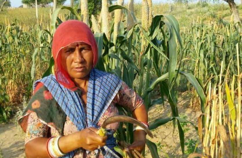 मेहनतकश ‘महिला किसान’, खुद स्वावलम्बी और के लिए भी ‘मिसाल’ मेहनतकश ‘महिला किसान’, खुद स्वावलम्बी और के लिए भी ‘मिसाल’