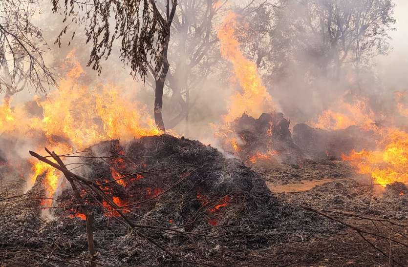 ट्रांसफार्मर से उठी चिंगारी, 45 ट्रॉली कड़बी राख ट्रांसफार्मर से उठी चिंगारी, 45 ट्रॉली कड़बी राख