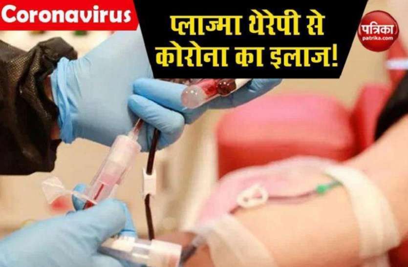 Plasma Treatment Alwar Covid Recovered Patients Ready To Donate Plasma राजस्थान के इस जिले में 12 हजार से अधिक कोरोना मरीज ठीक हो चुके, सैकड़ों लोग प्लाज़्मा देने को तैयार, लेकिन सरकार शुरू नहीं कर रही व्यवस्था