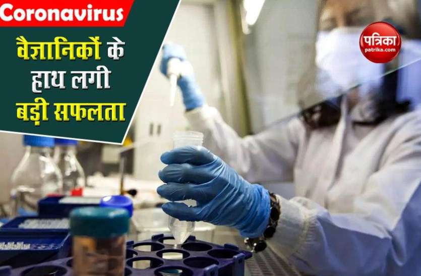 Corona Pandemic के बीच आई अच्छी खबर! वैज्ञानिकों ने खोज निकाला संक्रमण रोकने का तरीका Corona Pandemic के बीच आई अच्छी खबर! वैज्ञानिकों ने खोज निकाला संक्रमण रोकने का तरीका