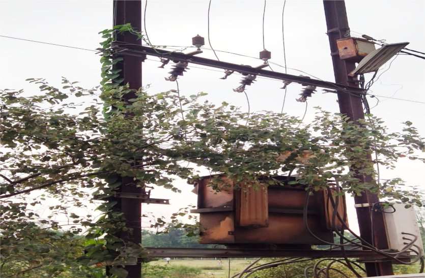 Allegations of relatives of the dead, electricity company employees ask for money मृतकों के परिजन का आरोप, रुपए मांगते है बिजली कंपनी के कर्मचारी