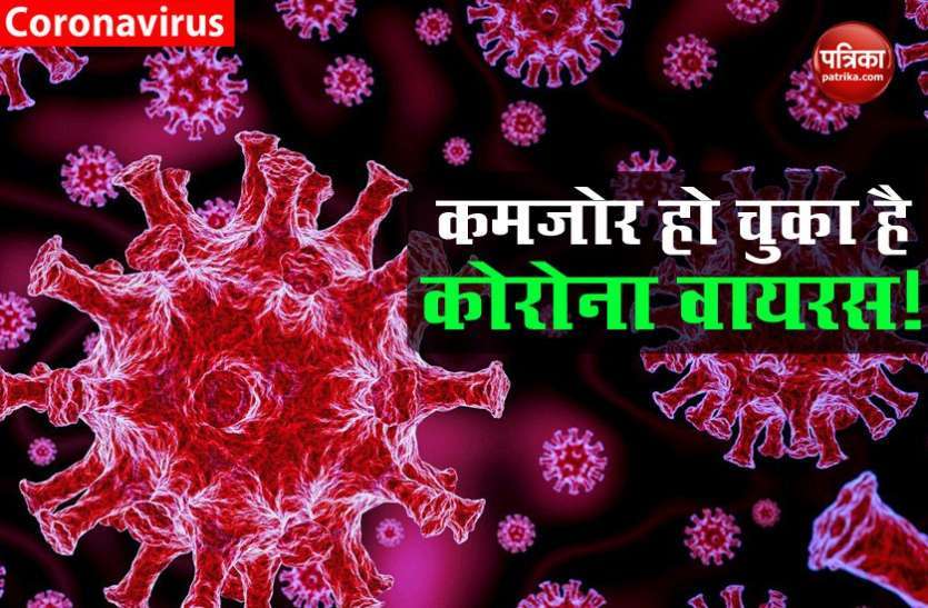 coronaa_6157618_835x547-m.jpeg छत्तीसगढ़ में 82.4 फीसदी रिकवरी रेट, 24 घंटों में 2,077 मरीज हुए ठीक, जानिए कितनी है डेथ रेट