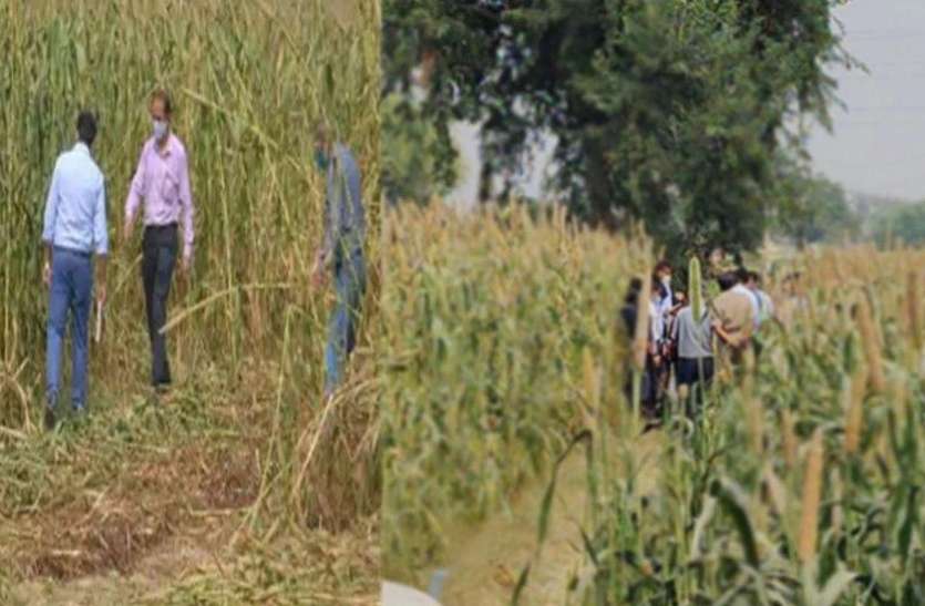 hathras.jpg हाथरस कांंड: जिस बाजरे के खेत में हुई थी वारदात, अब उसके मालिक ने मांगा मुआवजा