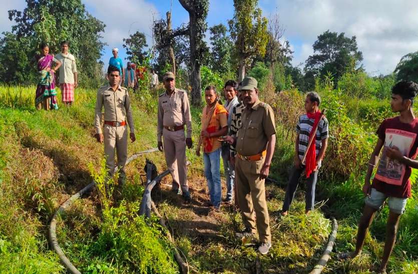 डौंडी जंगल में घूम रहे 25 हाथियों के दल ने किसानों की मेहनत पर फेरा पानी, रौंद दिया तीस गांव की फसल