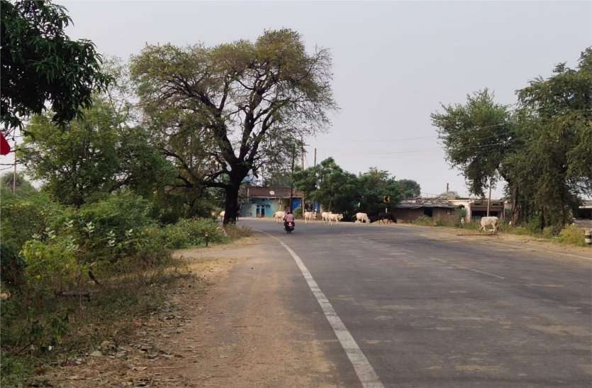 Danger points are not being improved even after accidents हादसों के बाद भी डेंजर पॉइंटों में नहीं किया जा रहा सुधार, कई लोगों की जा चुकी है जान