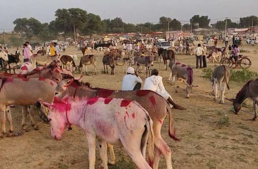 श्री खलकानी माता का गदर्भ मेला कोरोना का साया: इस साल नहीं भरेगा खलकानी माता का गदर्भ मेला