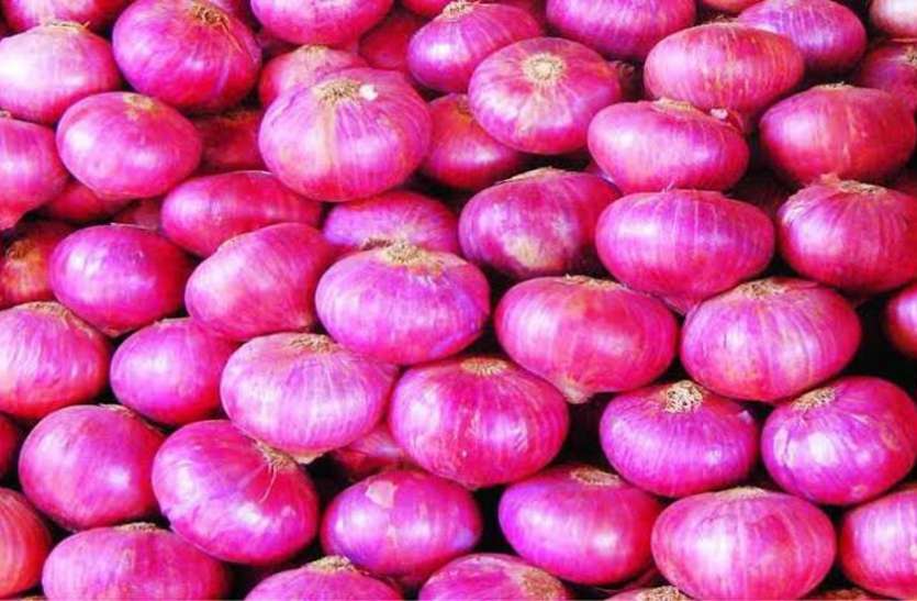 दीपावली तक और बढ़ सकती है प्याज की कीमत दीपावली तक और बढ़ सकती है प्याज की कीमत
