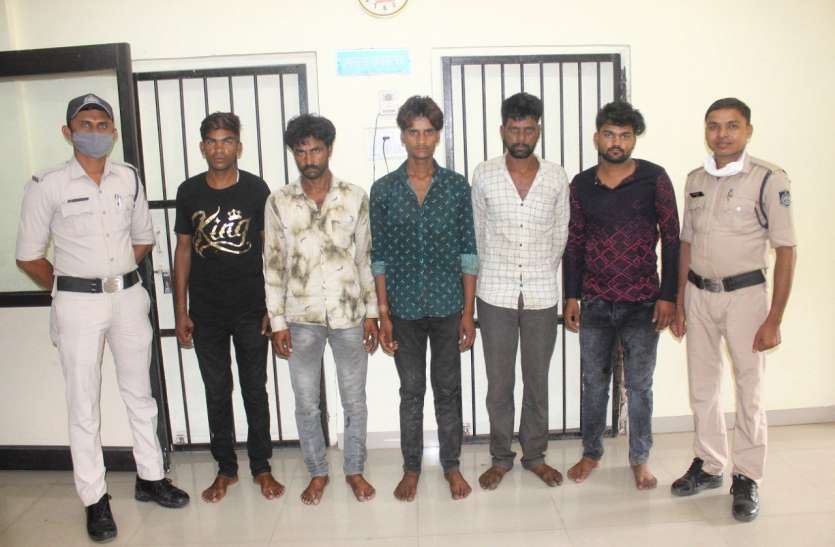 Police arrests a cow-loaded truck, five accused arrested मवेशी से भरे ट्रक के आगे चल रही कार पुलिस देख भागी, मूंदी में घेराबंदी कर दबोचा