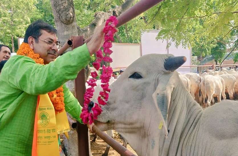 Satish Poonia one year tenure as state president completed Dr. Satish Poonia : कोरोना के साए में बीता आधा से ज़्यादा कार्यकाल, पर सदन से सड़क तक ‘आक्रामकता’ बरकरार