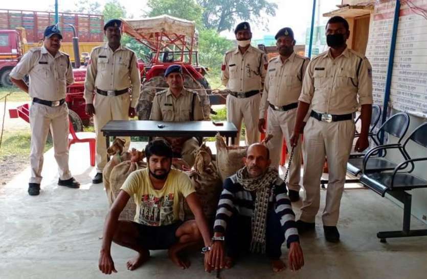 Police caught a quintal five kilogram of hemp पुलिस ने एक क्विंटल पांच किलो गांजा पकड़ा