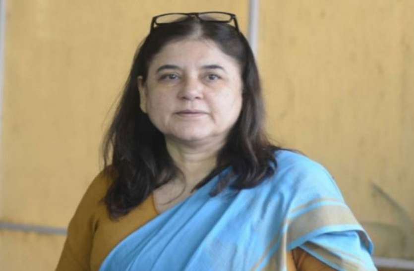 maneka-gandhi.jpg सांसद मेनका गांधी की सजगता से सैकड़ों बेजुवानों की बची जान, 15 लोग गिरफ्तार