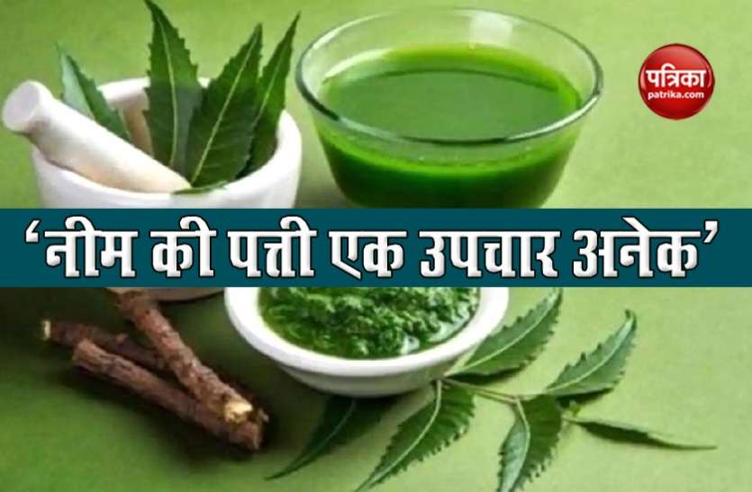 मुंहासे, रूसी और पसीने की दुर्गंध से छुटकारा पाना चाहते हैं तो नीम को ऐसे करें इस्तेमाल मुंहासे, रूसी और पसीने की दुर्गंध से छुटकारा पाना चाहते हैं तो नीम को ऐसे करें इस्तेमाल
