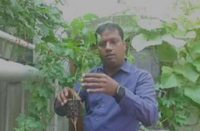 enjineer.jpg आगरा में इंजीनियर ने बिना मिट्टी के पानी में उगा दी सब्जियां, चारों ओर हो रही वाहवाही