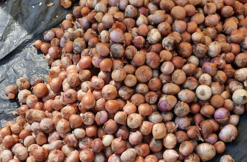 Prices rise as onion decreases लॉक डाउन में 10 रुपए प्रति किलो मिलने वाली प्याज के दाम अनलॉक में पहुंचे 80 रुपए