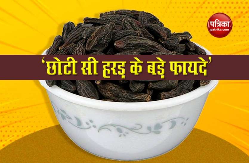 , छोटी सी हरड़ कई बड़ी बीमारियों को करेगी दूर, जानें इसके खास फायदे