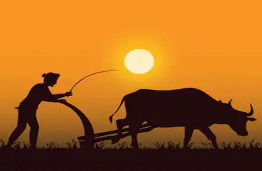 FARMER---किसानों ने पेनल्टी माफी योजना अवधि बढ़ाने की मांग की FARMER---किसानों ने पेनल्टी माफी योजना अवधि बढ़ाने की मांग की