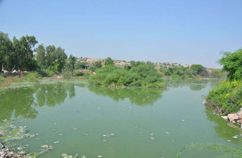 एनजीटी के आदेश के एक साल बाद भी सूरसागर तालाब के नहीं सुधरे हालात एनजीटी के आदेश के एक साल बाद भी सूरसागर तालाब के नहीं सुधरे हालात