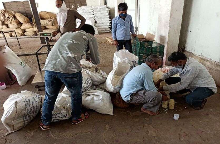 Raised on cold storage, bought 280 kg adulterated mawa 24 days ago in bhilwara कोल्ड स्टोरेज पर छापा, 24 दिन पहले खरीदा 280 किलो मिलावटी मावा पकड़ा