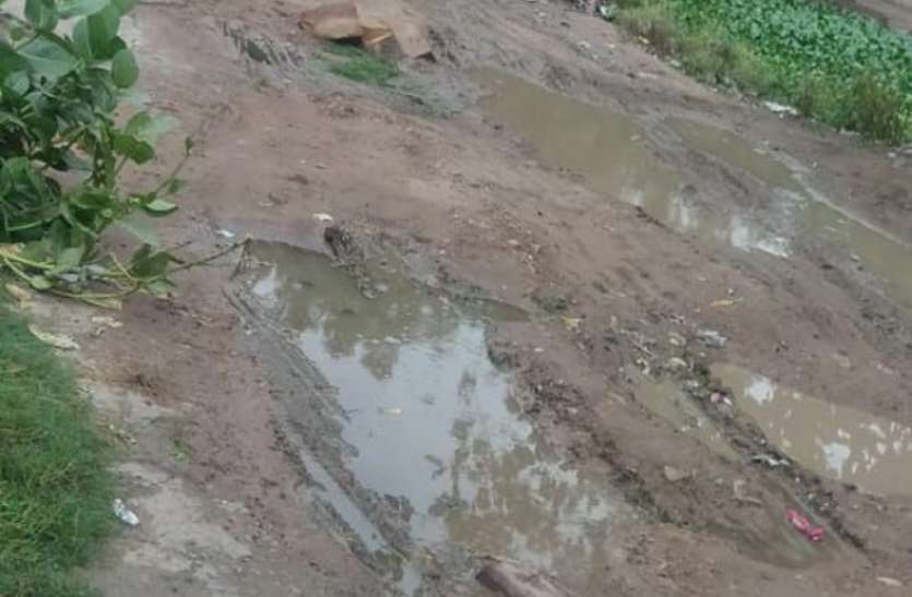 5 साल बाद सड़कों की हालत और खराब, सफाई को लेकर भी परेशान 5 साल बाद सड़कों की हालत और खराब, सफाई को लेकर भी परेशान