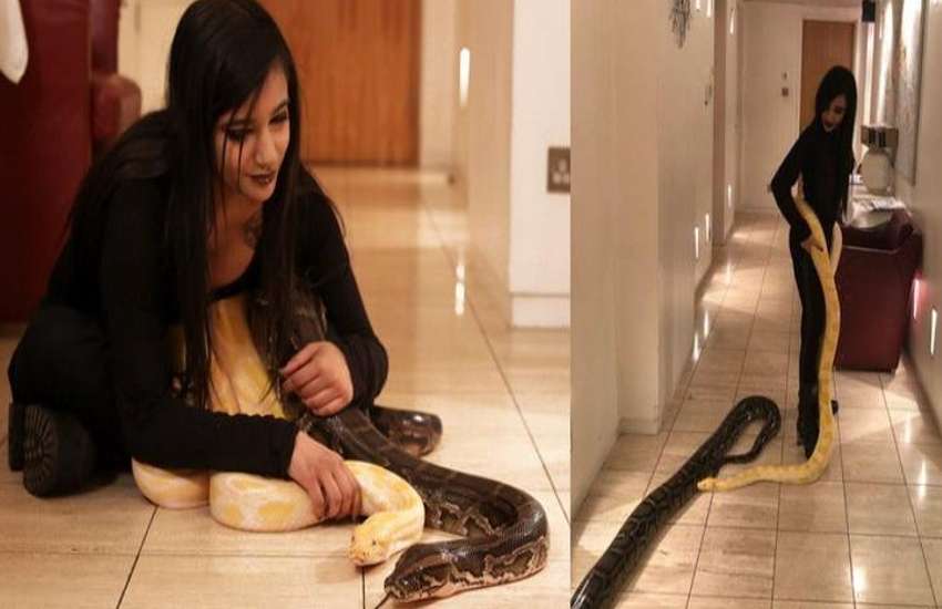 python