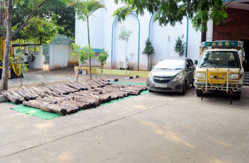 35 लाख के लाल चंदन के साथ 5 गिरफ्तार 35 लाख के लाल चंदन के साथ 5 गिरफ्तार