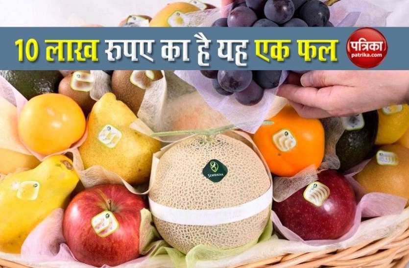 fruits.jpg बाप रे बाप ! इस एक फल की कीमत है 10 लाख रुपए, जानिए इसमें क्या है खास बात