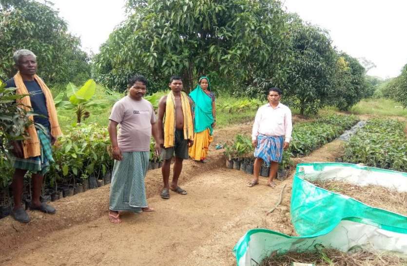 पांच आदिवासी किसानों ने बदली बंजर जमीन और खुद की किस्मत पांच आदिवासी किसानों ने बदली बंजर जमीन और खुद की किस्मत
