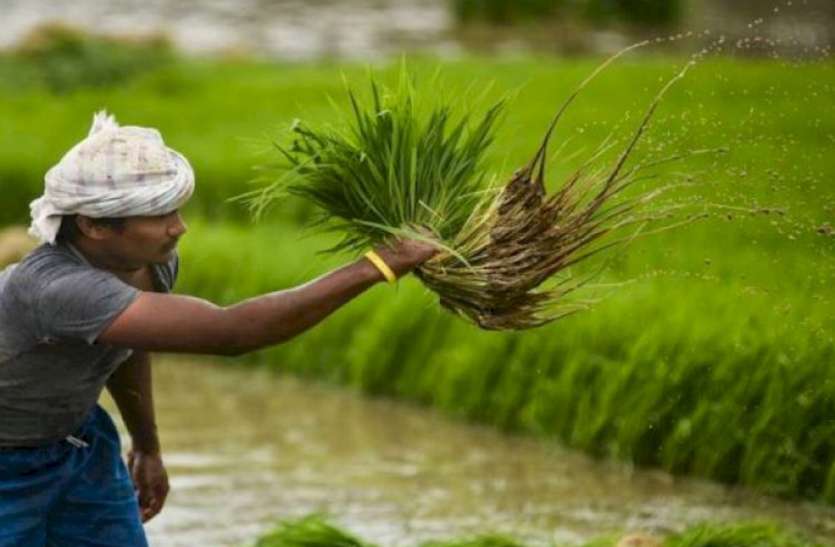 यूपी के किसानों के लिए अच्छी खबर, फसल बेचने के लिए नहीं भटकना होगा इधर-उधर, अनाज भंडारण के लिए बनेंगे पांच हजार गोदाम यूपी के किसानों के लिए अच्छी खबर, फसल बेचने के लिए नहीं भटकना होगा इधर-उधर, अनाज भंडारण के लिए बनेंगे पांच हजार गोदाम