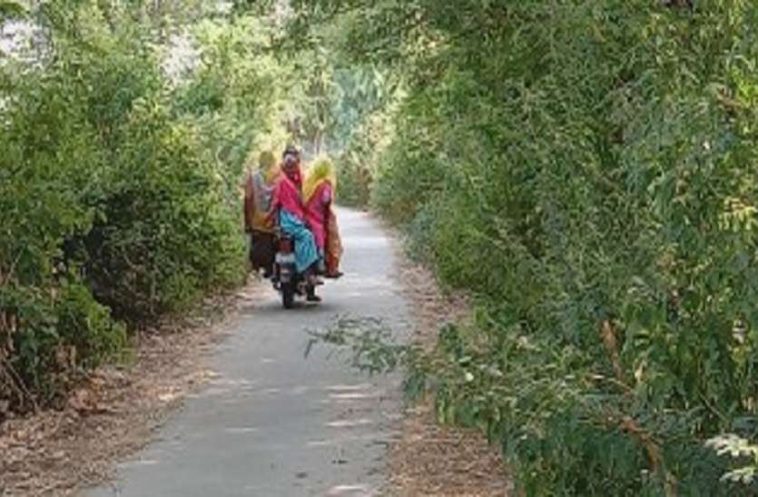 nne.jpg जनता मांग रही सुगम परिवहन, गंदगी और मवेशी मुक्त सड़कें