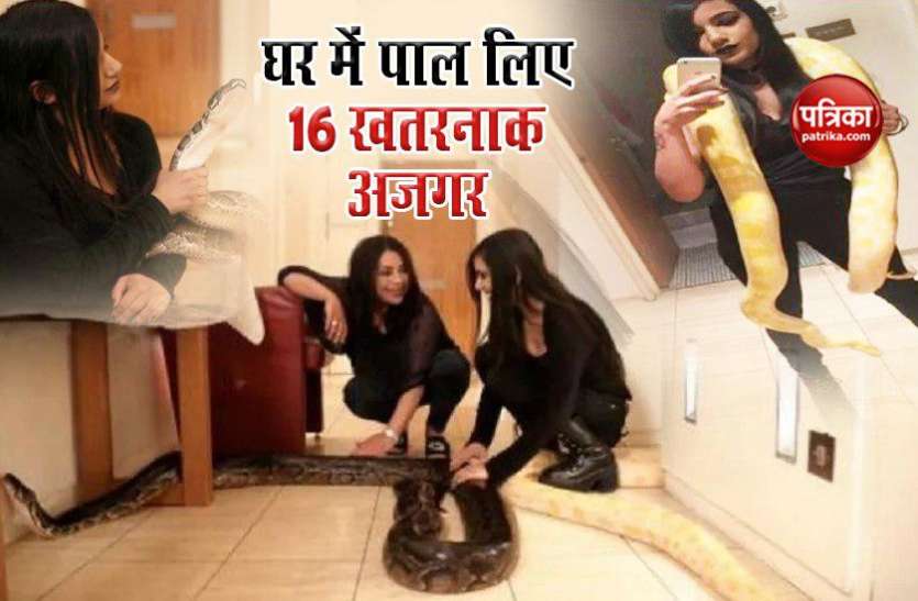 python इस लड़की को ऐसा शौक, फ्लैट में पाल रखे है 16 खतरनाक अजगर, कई बार कर चुके है हमला