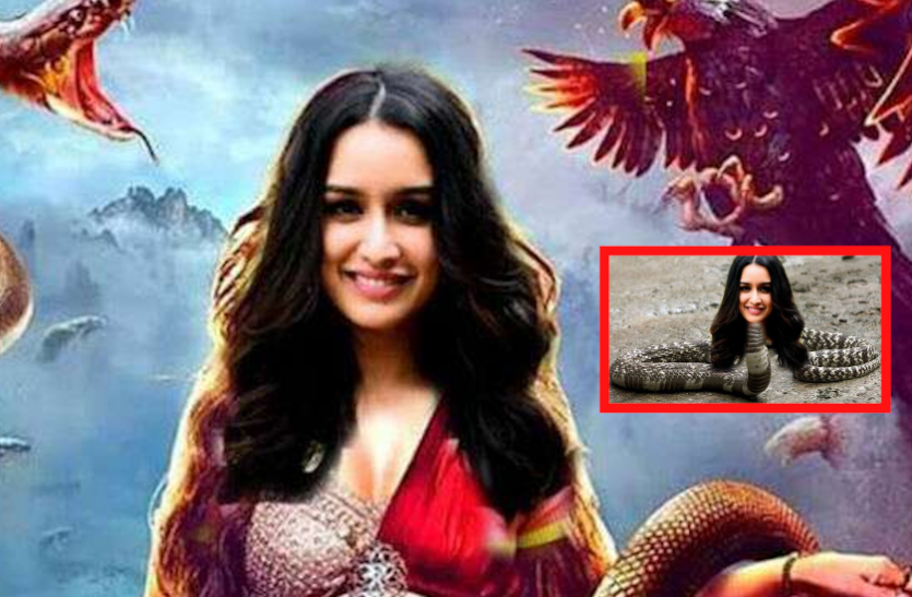 Shraddha Kapoor To Play Naagin In Next Movie - Shraddha Kapoor को मिला ...