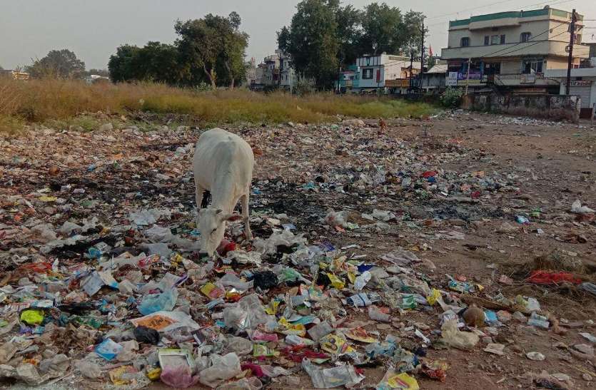Dirt near the Mudwara railway station. हर माह 35 लाख रुपये खर्च के बाद भी गंदगी से जूझ रहा शहर