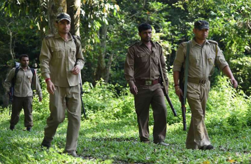 van_vibhag.png Bihar Forest Recruitment 2020: आवेदन फॉर्म में त्रुटि वाले उम्मीदवारों की लिस्ट जारी, यहां से करें चेक